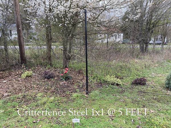 Critterfence Black Steel 1 Inch Square Grid 2 x 100 - 0685248510483