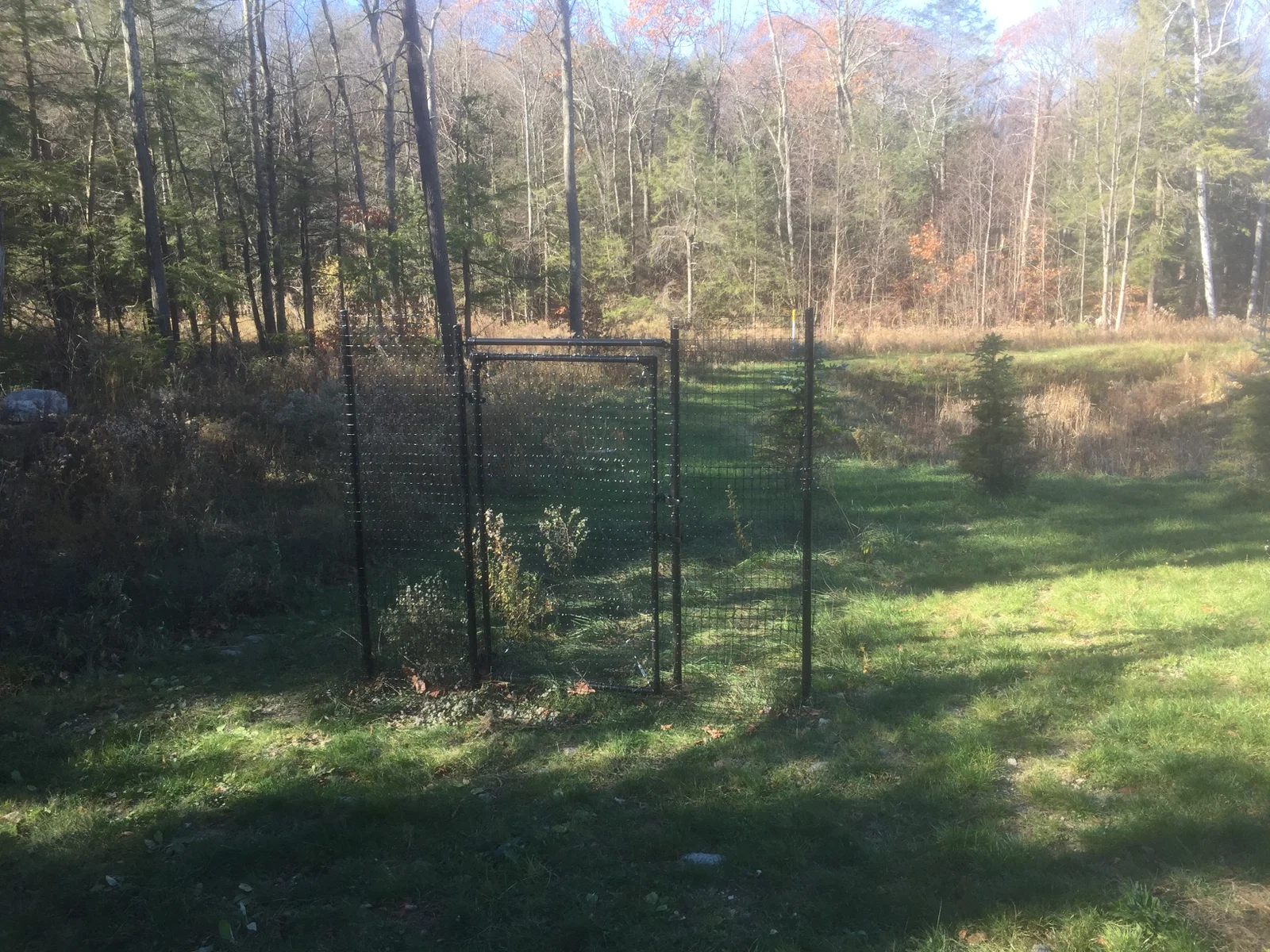 Critterfence deer fence protecting a backyard perimeter
