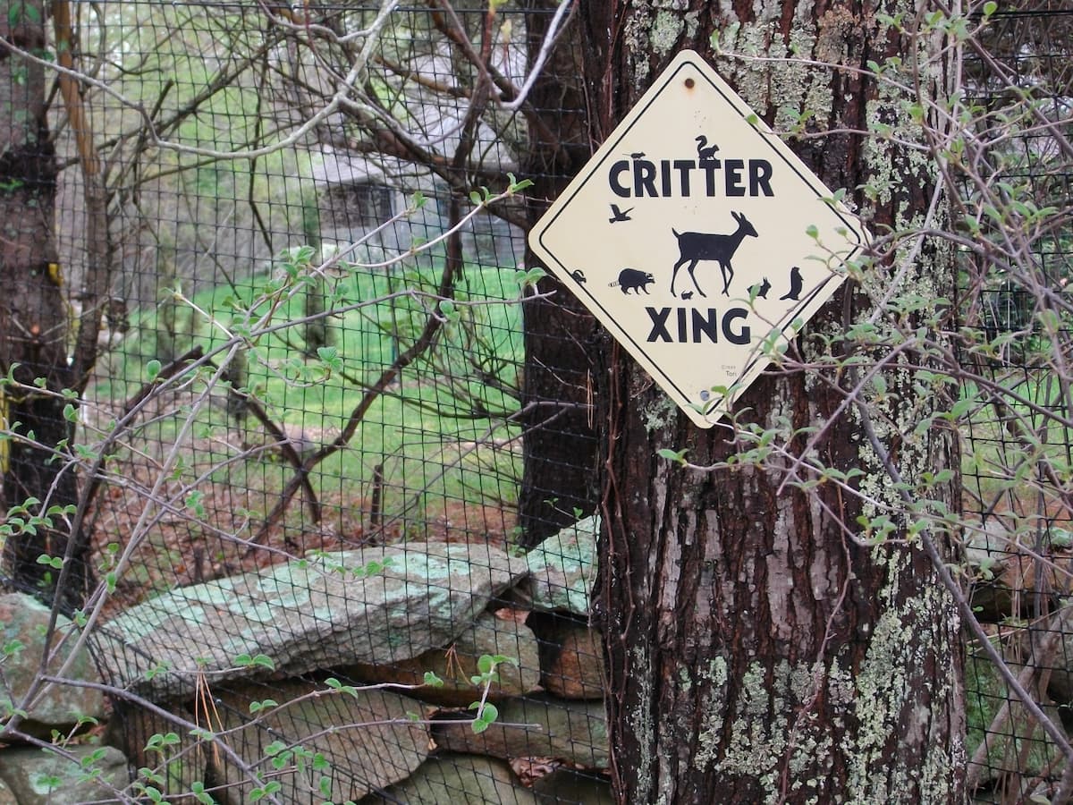Critterfence deer fence installed along a residential property perimeter in autumn
