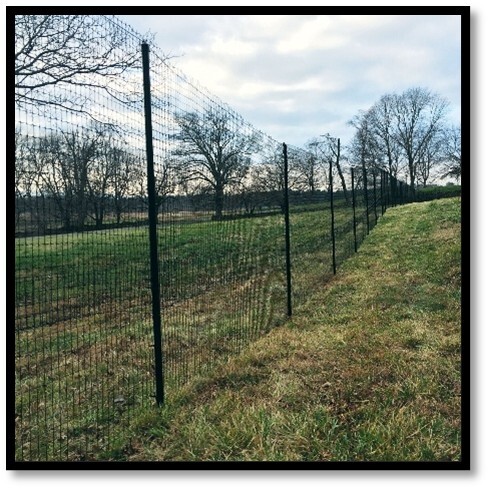 traditional deer fence