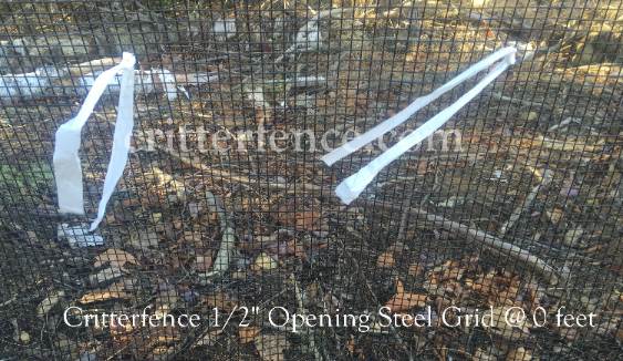 critterfence 1/2" opening steel grid garden fence diy