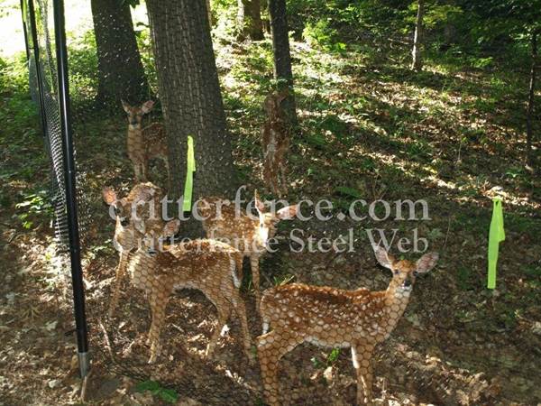 Metal deer fence