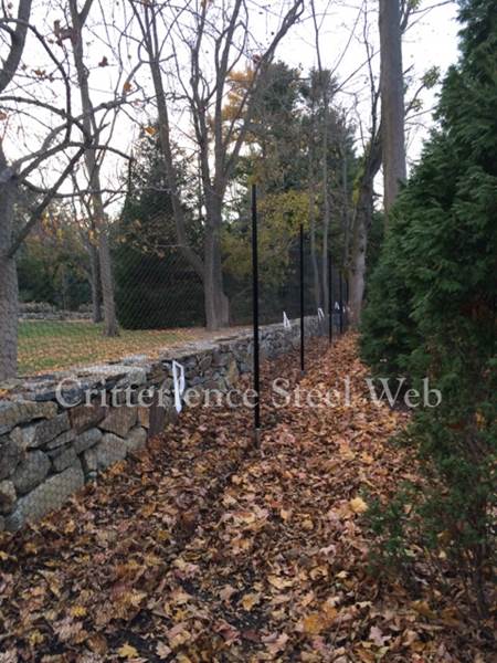 Critterfence Steel Web deer fencing