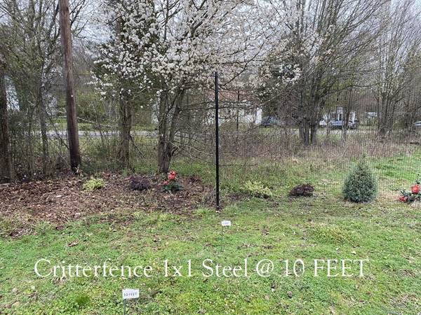 Critterfence Black Steel 1 Inch Square Grid 3 x 50 HEAVY - 0680332611855
