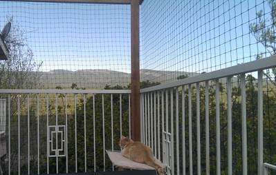 Porch Cat Fence
