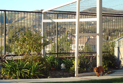 Patio Dog Fence